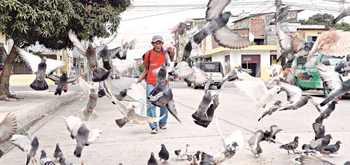 Los productos que vende Ignacio siempre tienen comprador