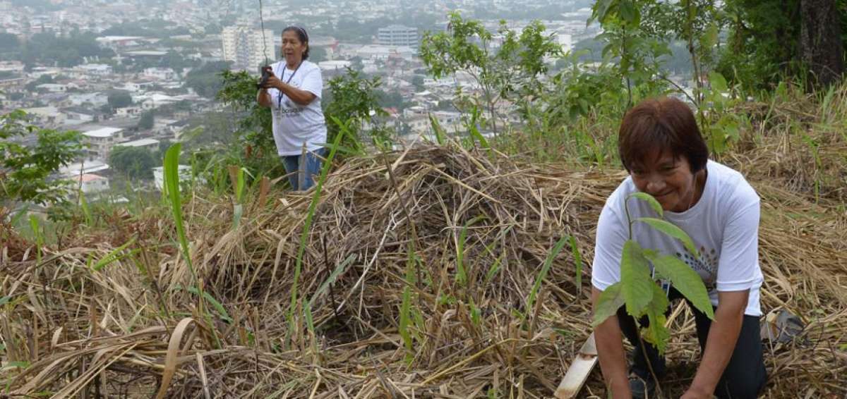En el &aacute;rea de Cerro Para&iacute;so, que el a&ntilde;o pasado result&oacute; afectada por un incendio forestal, se plantaron especies nativas. Solo esta zona recibi&oacute; 2.000 &aacute;rboles.