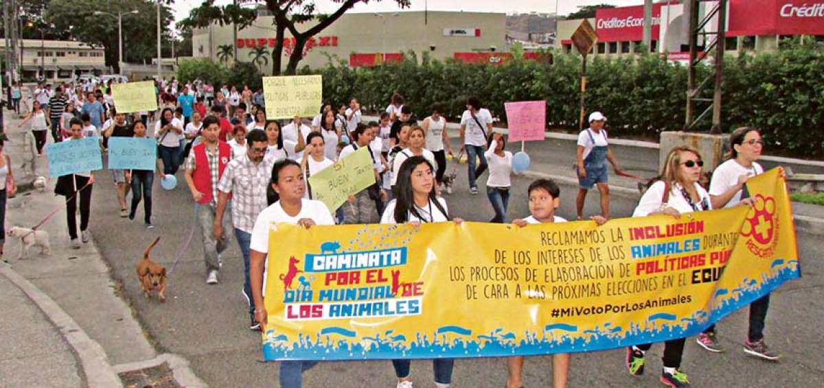 Hubo una marcha por el D&iacute;a Mundial de los Animales.