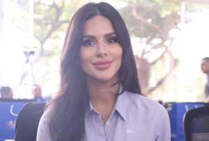 La asamble&iacute;sta Diana J&aacute;come se refiri&oacute; a los comentarios en redes.