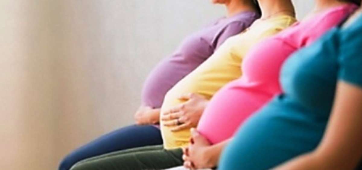 Virus del Zika podr&iacute;a causar abortos, seg&uacute;n estudio