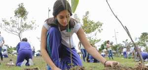 Las alumnas del colegio Delta sembraron parte de los 100 nuevos &aacute;rboles con los que desde ahora cuenta el Parque Samanes.