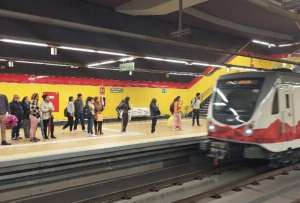 La persecuci&oacute;n felina-canina oblig&oacute; a detener moment&aacute;neamente el servicio del Metro de Quito.