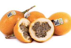 Granadilla ecuatoriana llega a Turquía