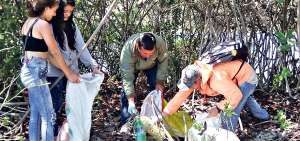 En el interior de los manglares de la isla Coraz&oacute;n, los chicos trabajaron en la recolecci&oacute;n de los desechos s&oacute;lidos, especialmente pl&aacute;stico.