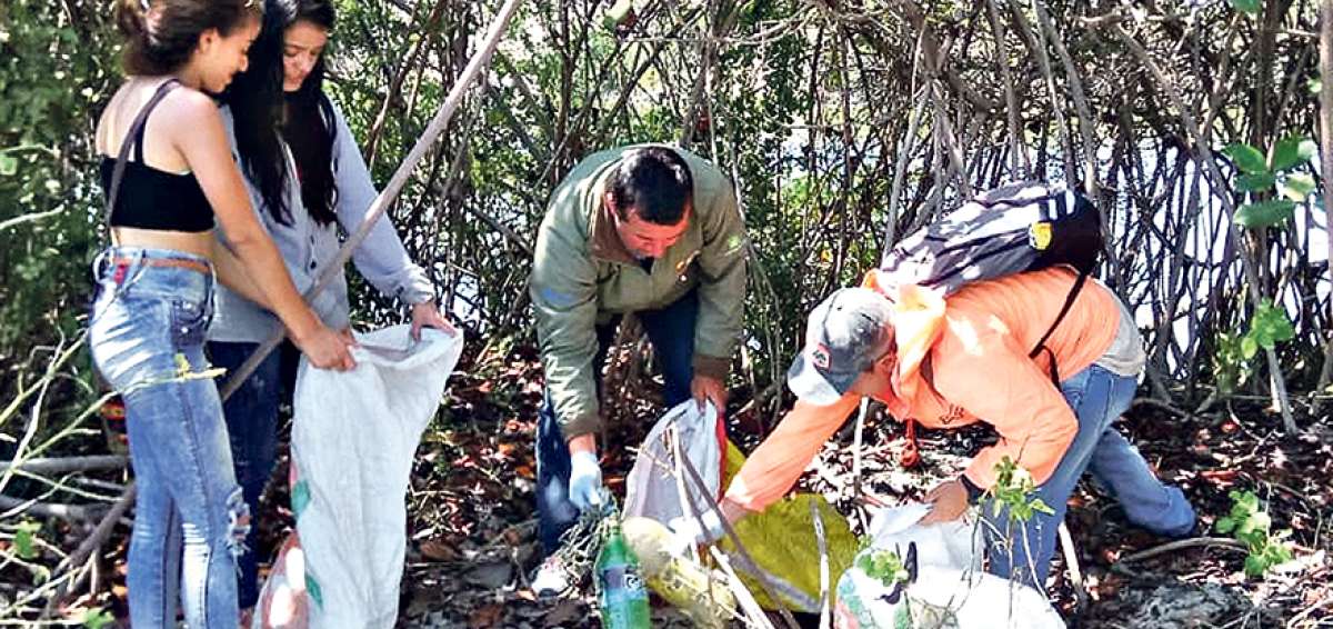En el interior de los manglares de la isla Coraz&oacute;n, los chicos trabajaron en la recolecci&oacute;n de los desechos s&oacute;lidos, especialmente pl&aacute;stico.