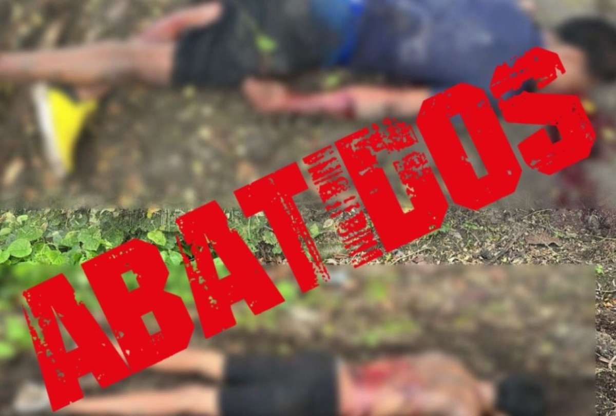 Polic&iacute;a Nacional abati&oacute; a dos presuntos delincuentes