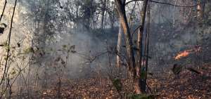 El cerro Bonce, en Santa Ana, fue uno de los m&aacute;s afectados en 2016 por los incendios forestales en Manab&iacute;.