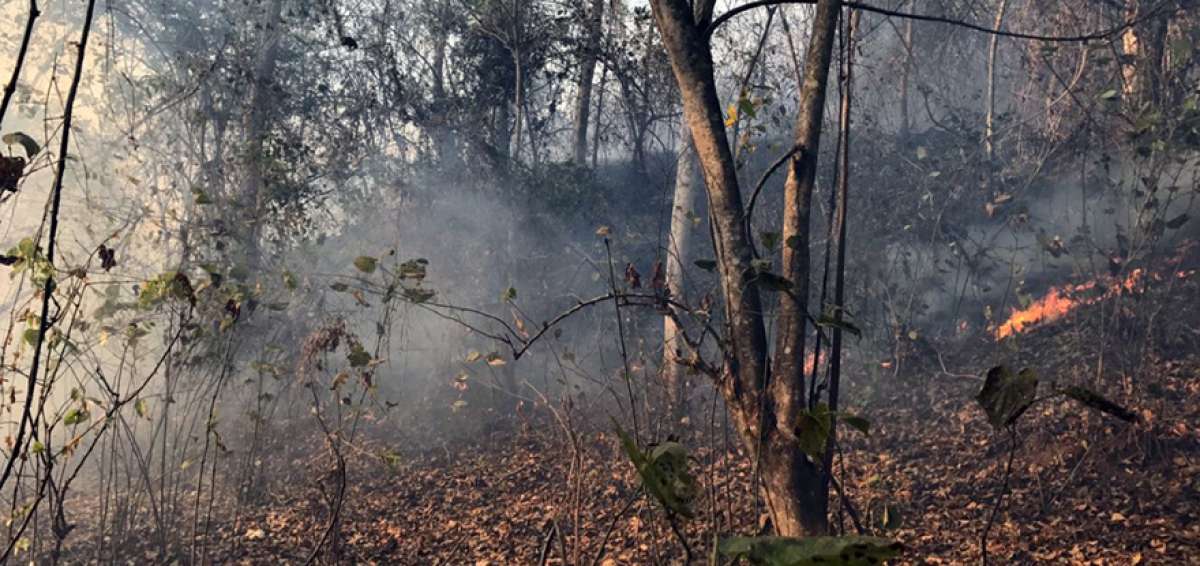 El cerro Bonce, en Santa Ana, fue uno de los m&aacute;s afectados en 2016 por los incendios forestales en Manab&iacute;.