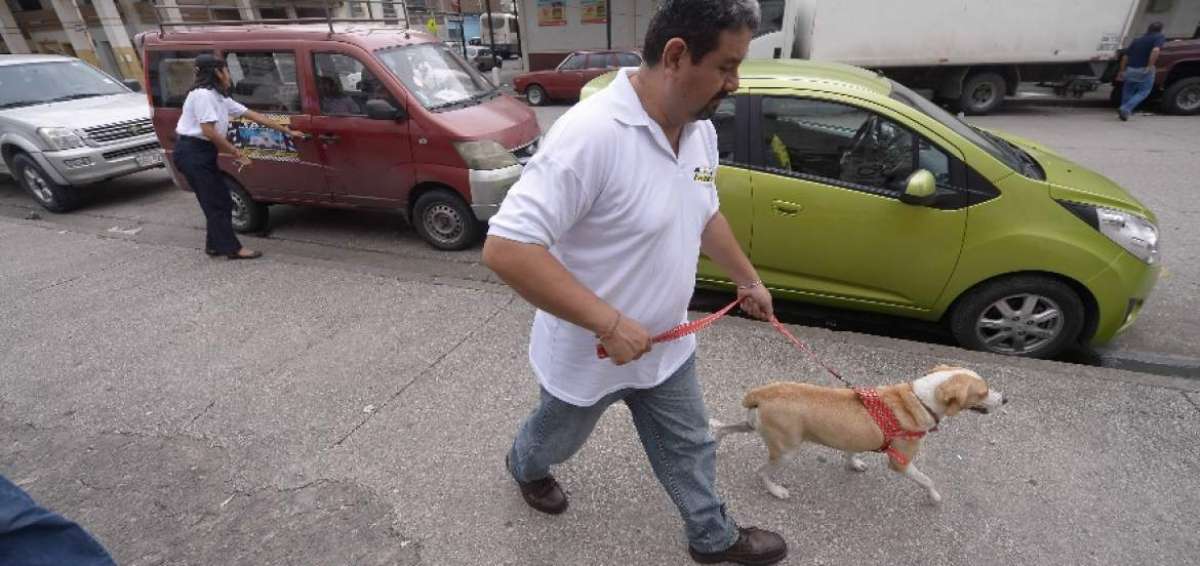 La oficina ERAH se encargar&aacute; de elaborar nuevas estrategias contra la violencia y en favor del cuidado animal.