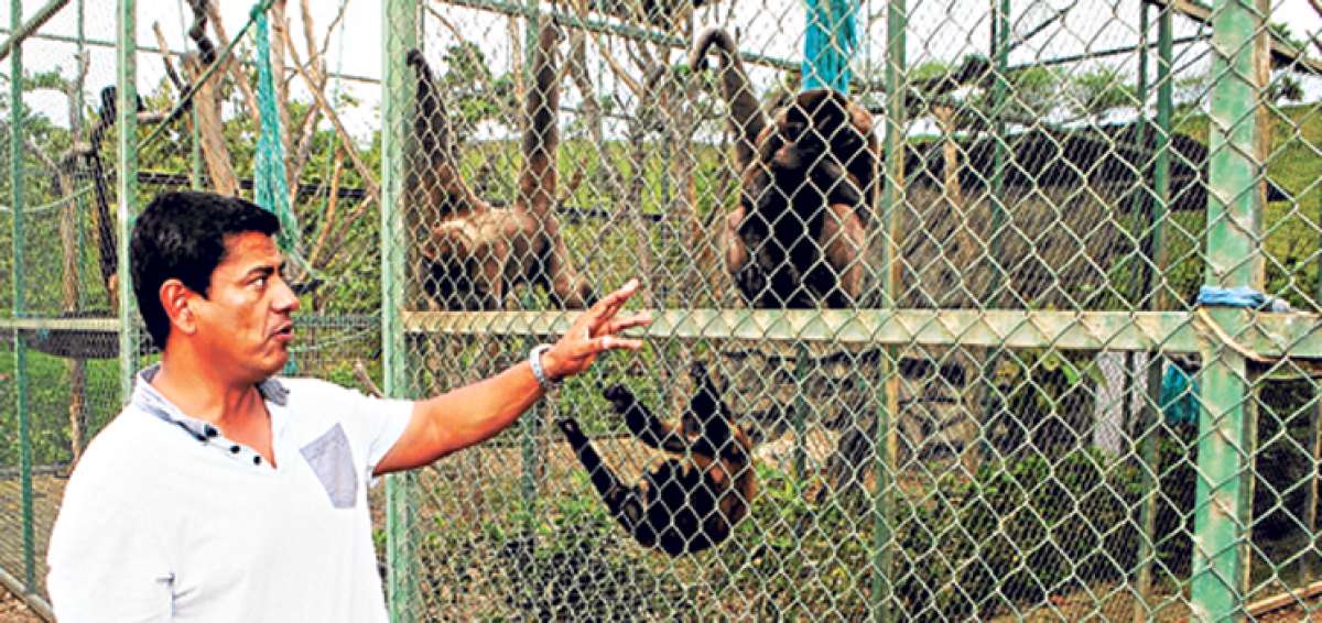 El zool&oacute;gico de Arenillas es el lugar escogido para proteger a los animales en peligro de extinci&oacute;n que est&aacute;n en la provincia de El Oro o que llegan de otros lugares. Foto: Fabricio Cruz / El Tel&eacute;grafo