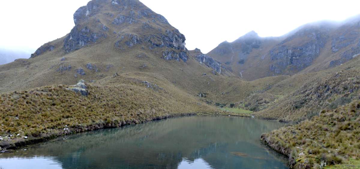 Los humedales que se encuentran en la parte alta de Cuenca se han convertido en la fuente principal para el abastecimiento de agua.