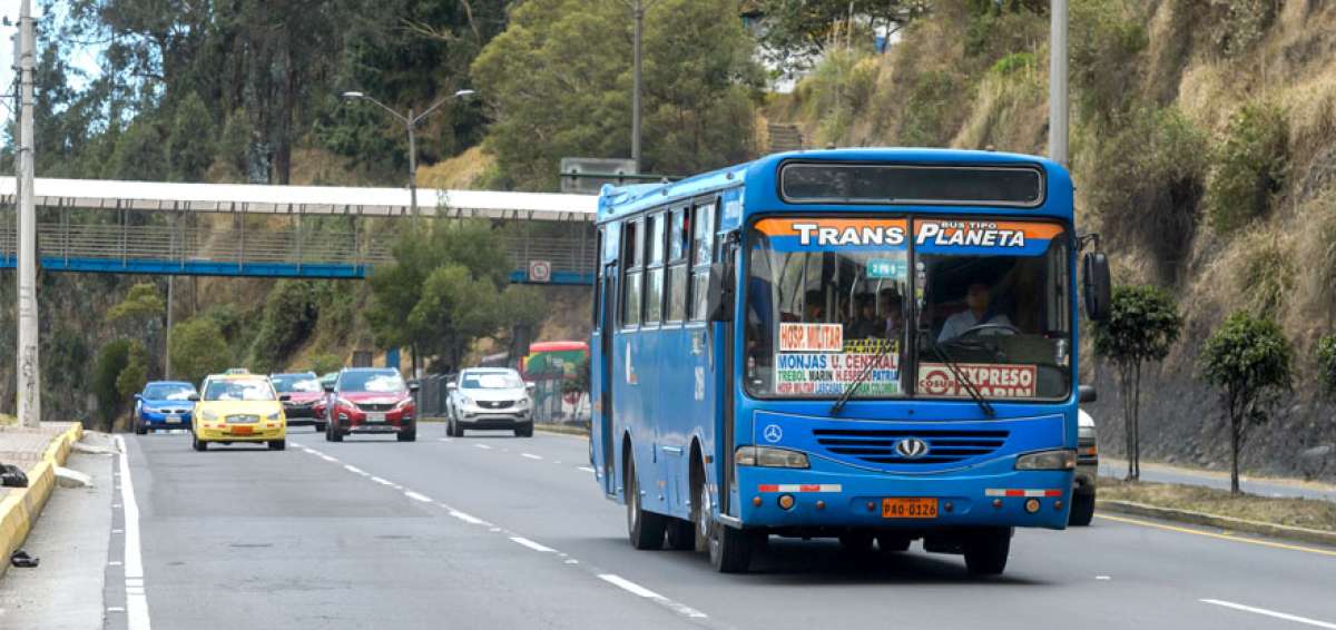 El transporte municipal ampliar&aacute; sus frecuencias