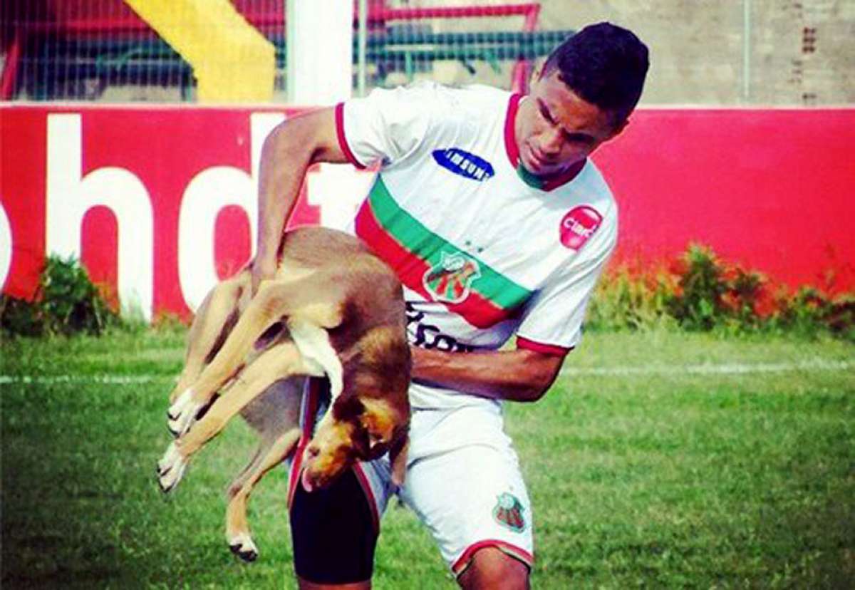 Futbolista llama Su&aacute;rez a perro que lo mordi&oacute; en un juego