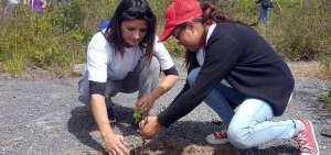 Tababela tiene 1.500 &aacute;rboles nuevos