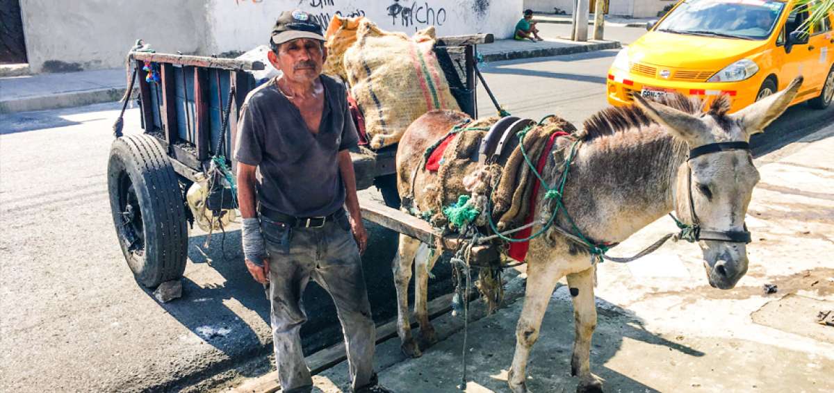"El negocio se mantiene en el sur"