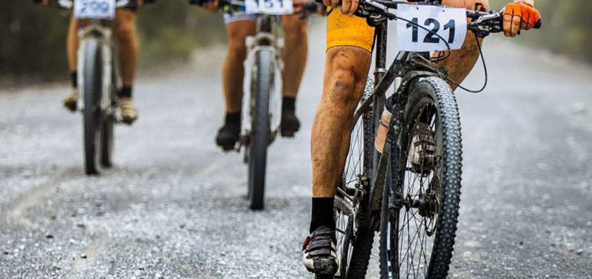 Ecuador ser&aacute; sede del foro mundial a favor de la movilidad en bicicleta