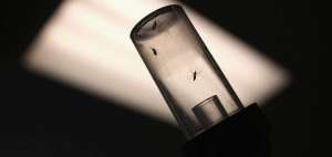 Casi 70.000 casos de zika en Colombia desde octubre, m&aacute;s de 12.000 en embarazadas