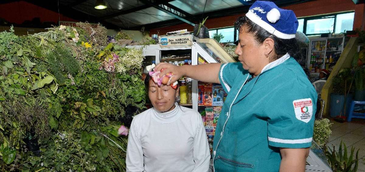 Ruda, matico, marco, rosas y malva son algunas de las plantas que se usan para el ritual de atracci&oacute;n de la buena suerte. Tras la limpia el sanador roc&iacute;a al cliente con una mezcla de licor y esencias florales.