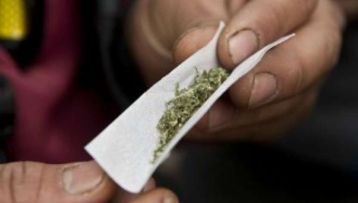 Miles de manifestantes piden despenalizar cultivos de marihuana en Chile