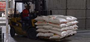 Captaci&oacute;n de la cosecha de arroz est&aacute; asegurada, dice gerente de la UNA