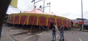 Los habitantes de Mucho Lote y La Garzota afirman que la presencia de las carpas provoca molestias. En Acuarela del R&iacute;o no se ha registrado quejas.