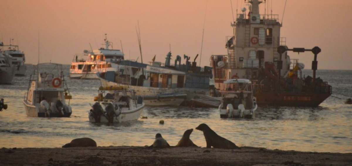 Gobierno aplica medidas de prevenci&oacute;n en Gal&aacute;pagos