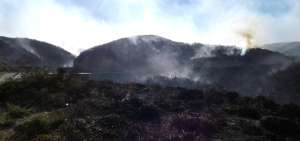 Incendio ser&aacute; investigado en Azuay