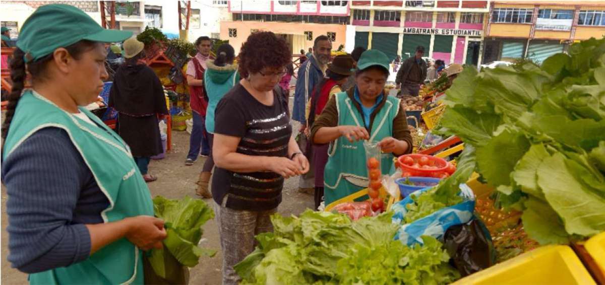 Feria agroecol&oacute;gica genera ingresos por $ 8.000 a campesinos