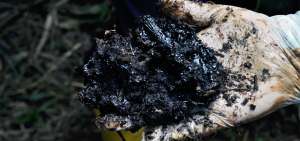 La contaminaci&oacute;n del derrame petrolero en las provincias amaz&oacute;nicas de Orellana y Sucumb&iacute;os fue comprobada por personajes nacionales y extranjeros.