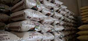 Ecuador actualiz&oacute; los requisitos para la importaci&oacute;n colombiana de arroz