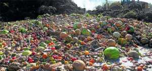 Un tercio de la comida se pierde desde la cosecha
