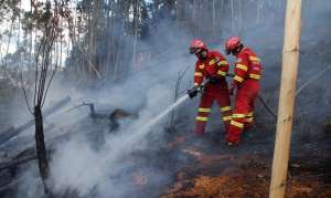Los incendios forestales no cesaron este a&ntilde;o, aunque compar&aacute;ndolos con 2014, disminuyeron. La sequ&iacute;a y la mano del hombre causaron grandes quemas en cientos de hect&aacute;reas en las provincias de Azuay, Ca&ntilde;ar y El Oro.