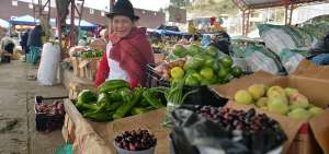 La prioridad es la limpieza en los mercados de Ca&ntilde;ar y Cuenca.