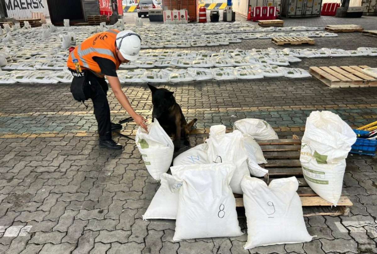 La droga incautada en Posorja tiene un valor en el mercado europeo de