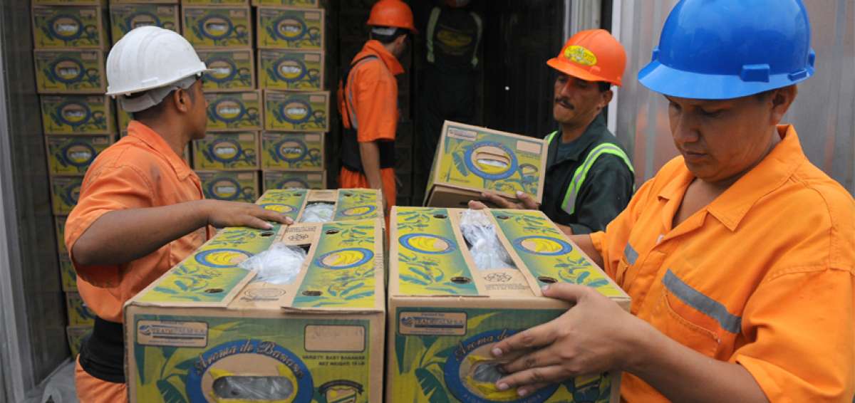 El sector exportador sostiene que los impuestos a la importaci&oacute;n de insumos y materias primas encarecen los costos de producci&oacute;n en Ecuador.