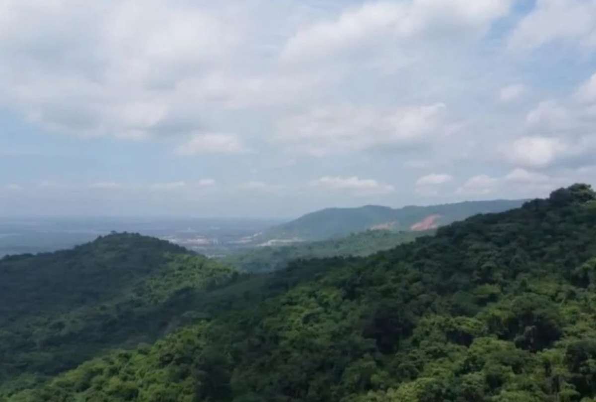 En Cerro Azul hay 12 concesiones mineras (material de construcci&oacute;n); solo tres est&aacute;n en operaci&oacute;n y cuentan con registro ambiental. 