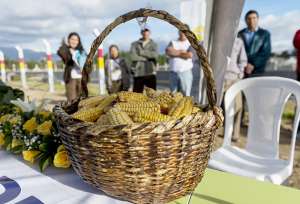 Foto: Miguel Jim&eacute;nez/El Tel&eacute;grafo