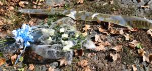 Una corona de flores depositada en la sinagoga de Roma, por el presidente del Lazio, apareci&oacute; en un r&iacute;o. Se cree que los autores ser&iacute;an j&oacute;venes jud&iacute;os.