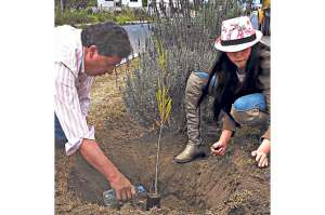 200 ambate&ntilde;os apadrinaron siembra de &aacute;rboles