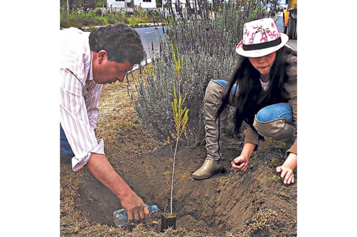 200 ambate&ntilde;os apadrinaron siembra de &aacute;rboles