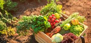Feria agr&iacute;cola promueve la comercializaci&oacute;n directa en Cotopaxi