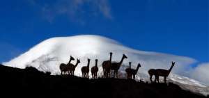 El nevado puede ser observado desde Riobamba, que se ubica a 190 kil&oacute;metros de Quito. 