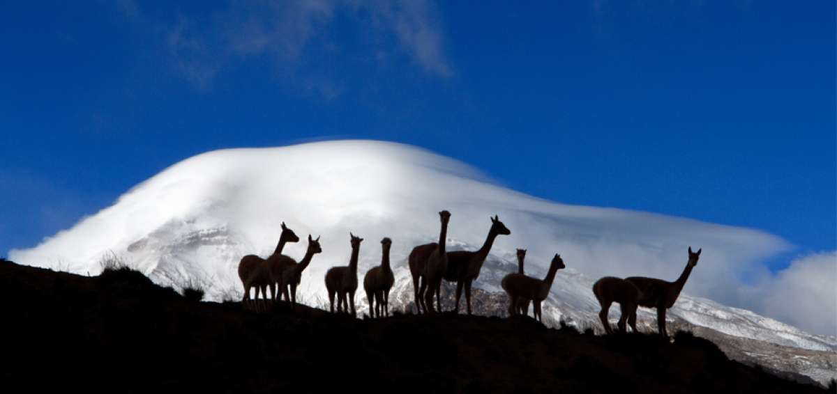 El nevado puede ser observado desde Riobamba, que se ubica a 190 kil&oacute;metros de Quito. 