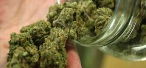 Congreso de Per&uacute; aprueba ley para uso medicinal de la marihuana