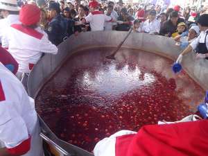 El jucho se proclam&oacute; como bebida oficial de la zona centro