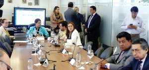 Tres de los doce legisladores que son miembros de la Comisi&oacute;n asistieron a la convocatoria de Mar&iacute;a Jos&eacute; Carri&oacute;n.