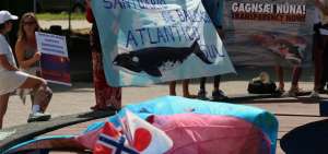 Manifestantes protestan contra las muertes de ballenas frente a un hotel, en Florian&oacute;polis (Brasil).