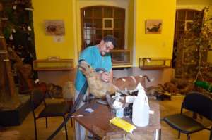 Museo de la UTA abrir&aacute; esta semana