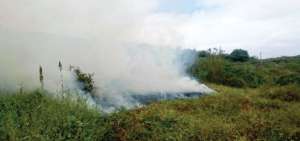 Incendio forestal fue controlado en La Tomatera, Portoviejo